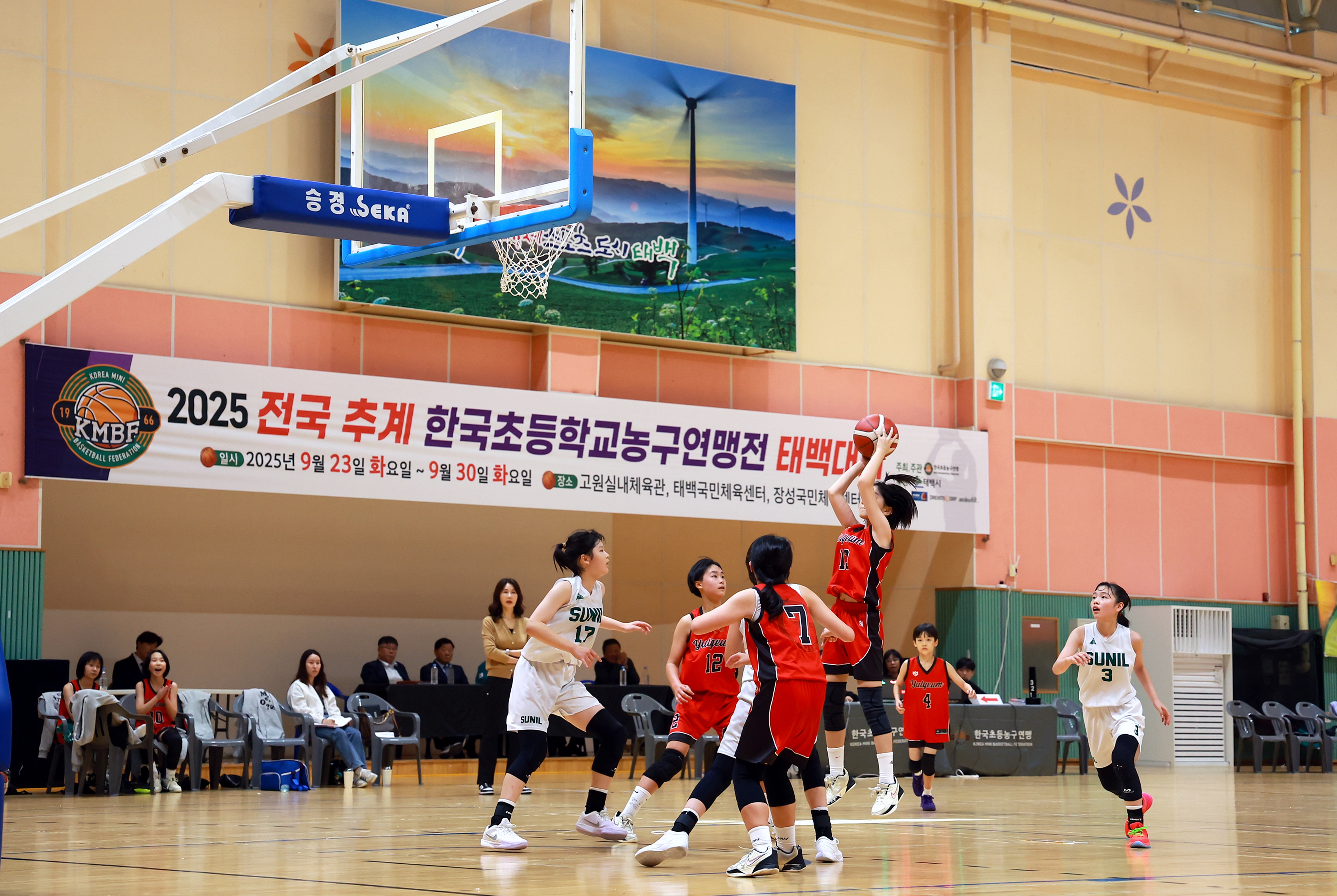 20250927 전국추계 한국초등학교 농구 연맹전 태백대회 이미지2