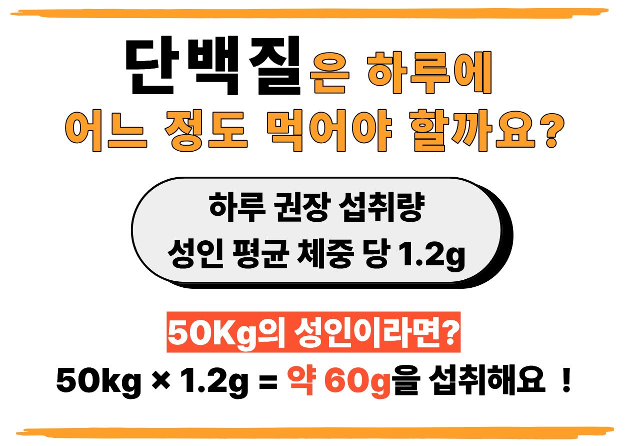 단백질은 하루에 어느 정도 먹어야 할까요? 이미지1