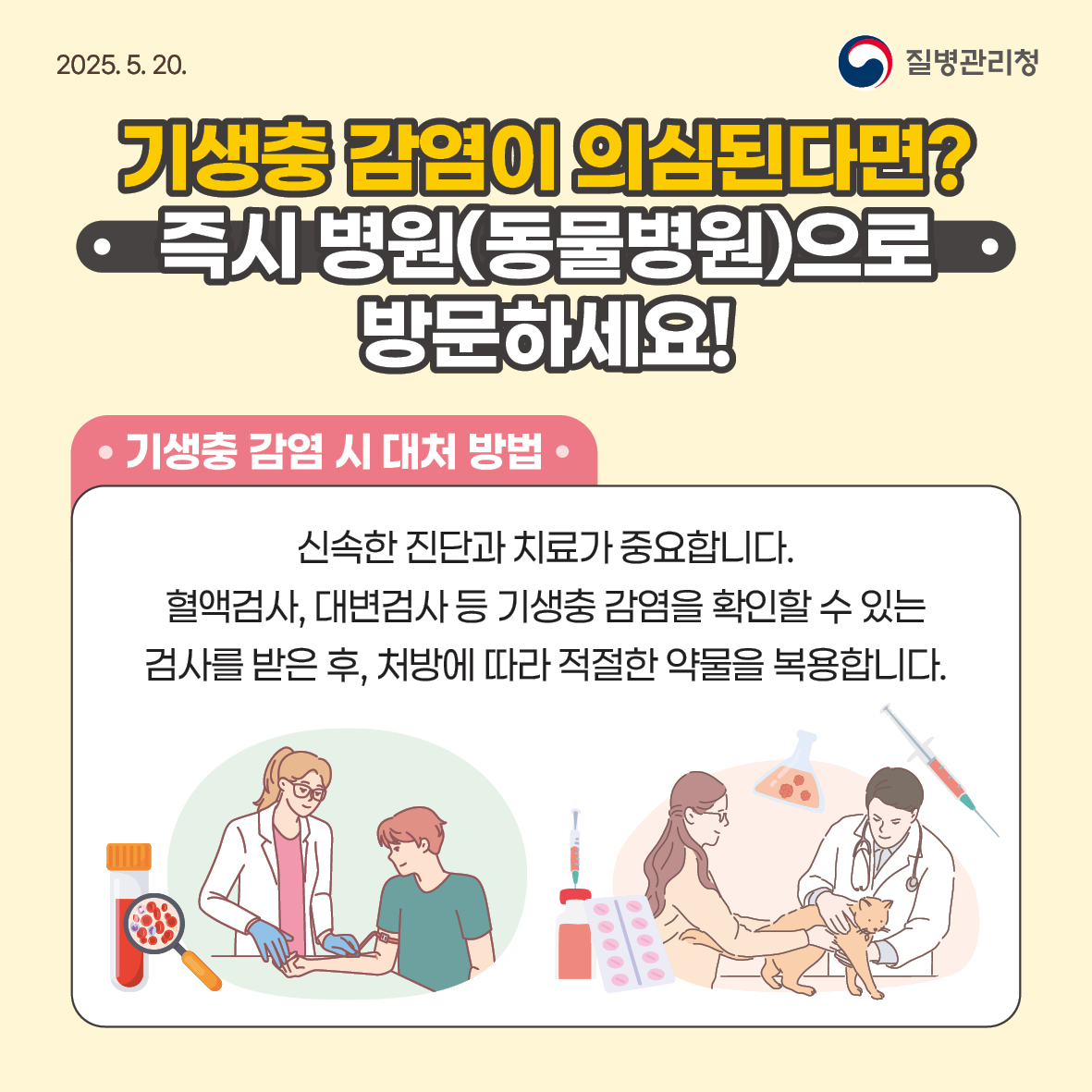반려동물 기생충 감염병 예방수칙 안내 이미지4