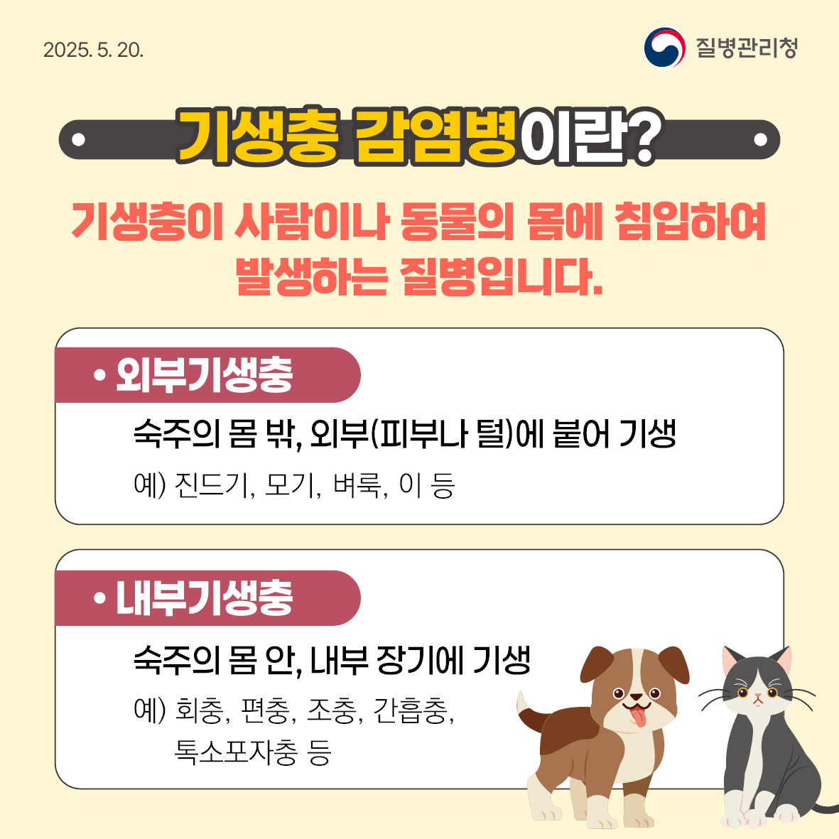 반려동물 기생충 감염병 예방수칙 안내 이미지1
