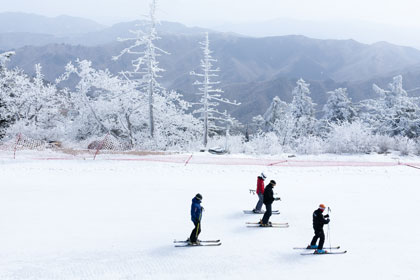 Ski and Snowboard image
