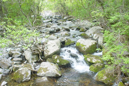 Geumdaebonggol Valley image