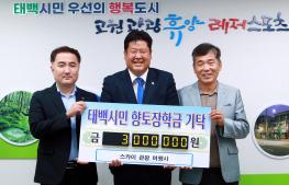 스카이관광여행사 이미지