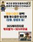 영월 다음은 태백! 이미지