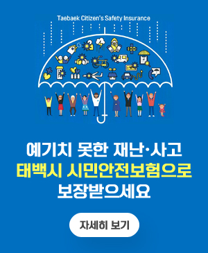예기치 못한 재난·사고
태백시 시민안전보험으로 보장받으세요
/Taebaek Citizens Safety Insurance
/자세히보기