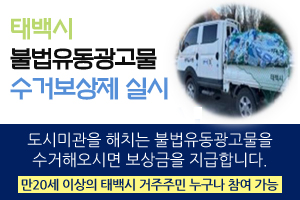 태백시 불법유동광고물 수거보상제 실시