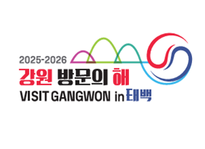 강원방문의 해