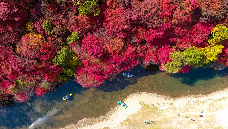 鉄岩紅葉祭り image