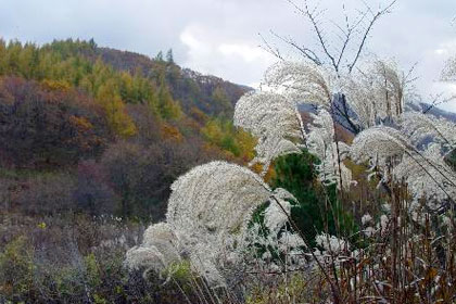 Daedeoksan Mountain (Keundeoksan Mountain) image