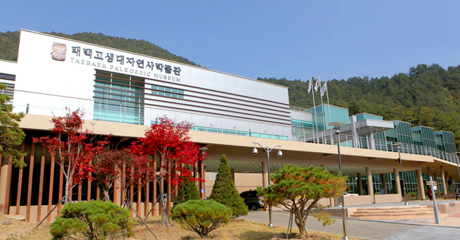 Taebaek Paleozoic Museum image