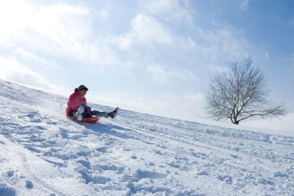 Snow Sledge image