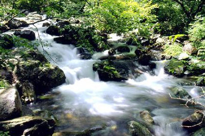 Danggol Valley image