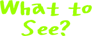 What to See?